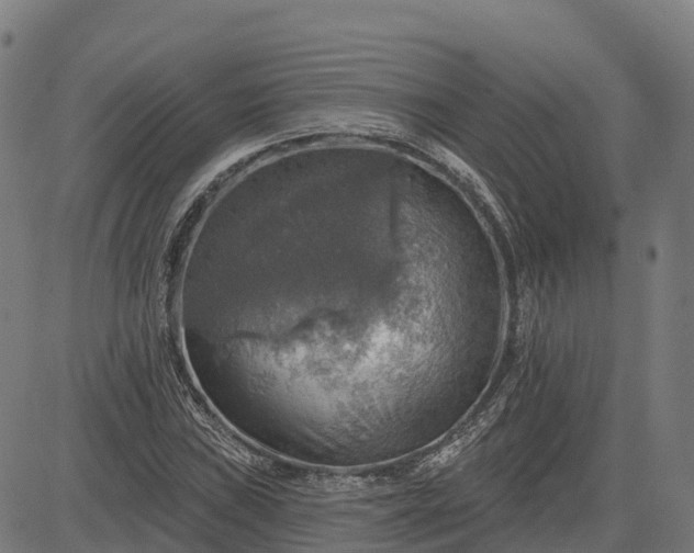 X0000084541019200703091648