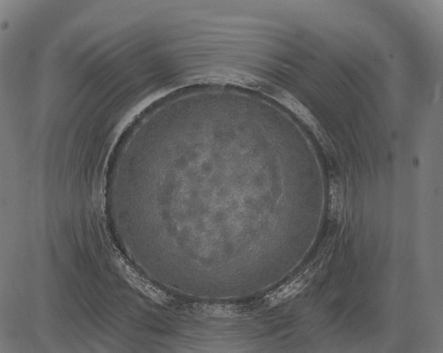 X0000084541020200703091648