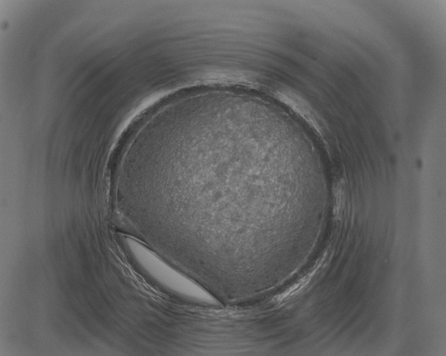 X0000084541021200703091648