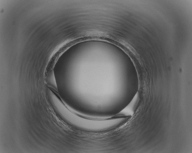 X0000084541022200703091648