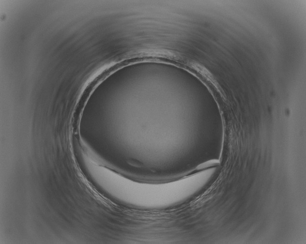 X0000084541024200703091648