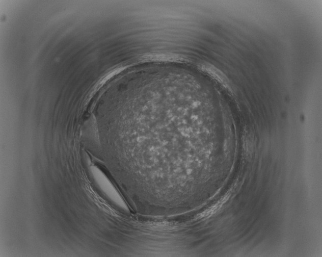 X0000084541025200703091648