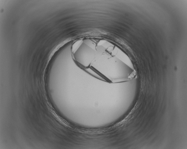 X0000084541026200703091648