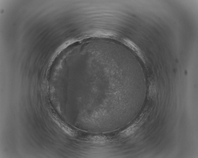 X0000084541027200703091648