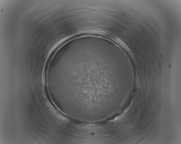 X0000084541028200703091648