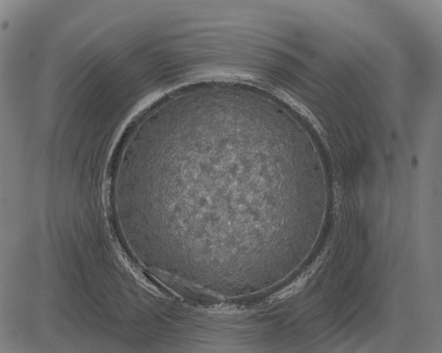 X0000084541029200703091648