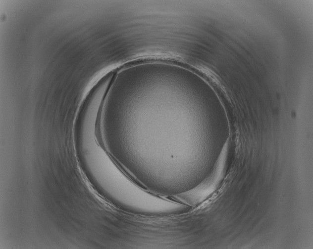 X0000084541030200703091648