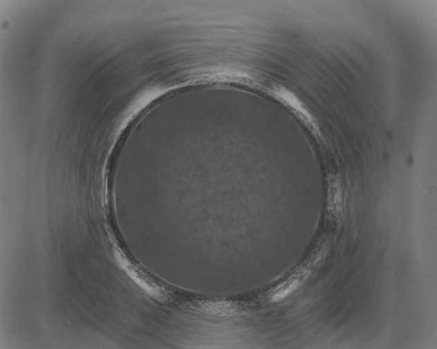 X0000084541031200703091648