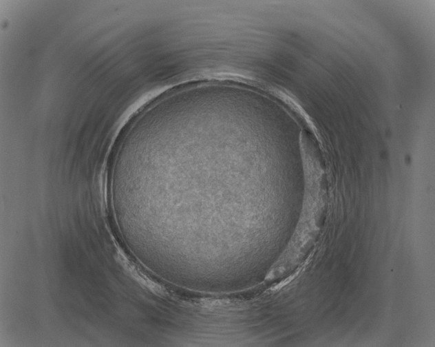 X0000084541032200703091648