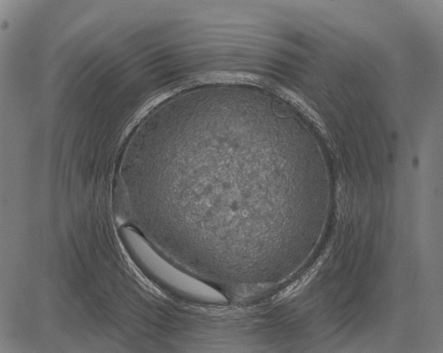 X0000084541033200703091648