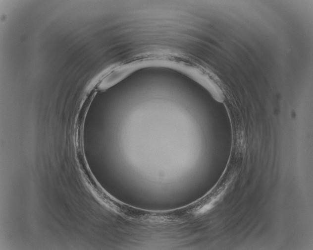 X0000084541034200703091648