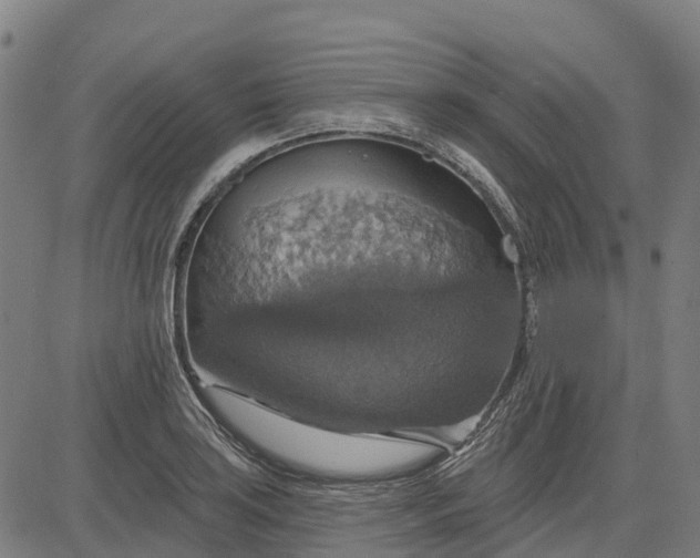 X0000084541035200703091648