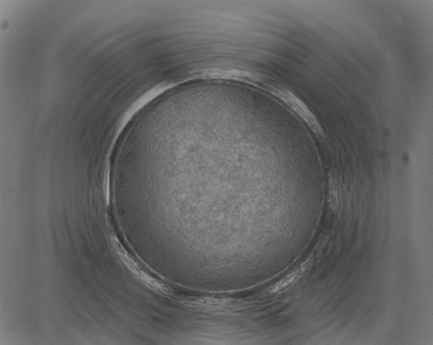 X0000084541036200703091648