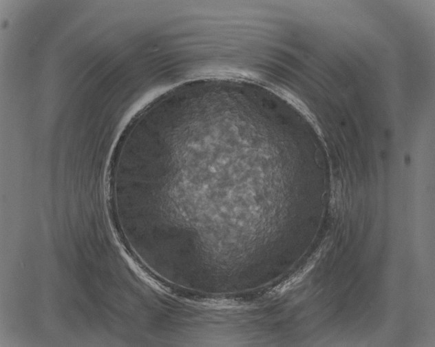 X0000084541037200703091648