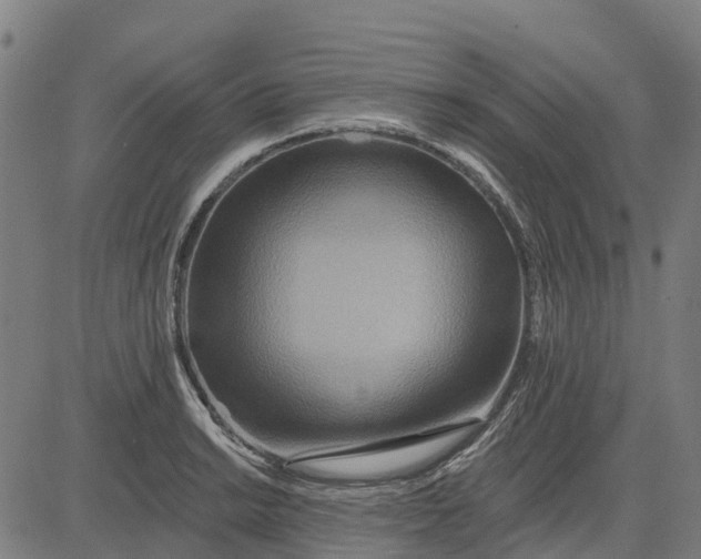 X0000084541038200703091648