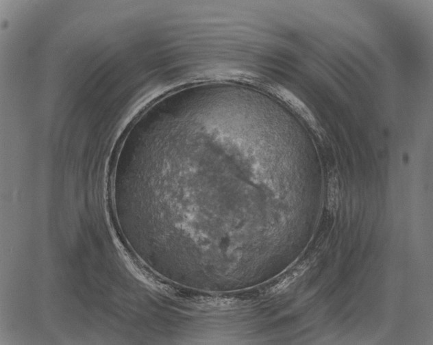 X0000084541039200703091648