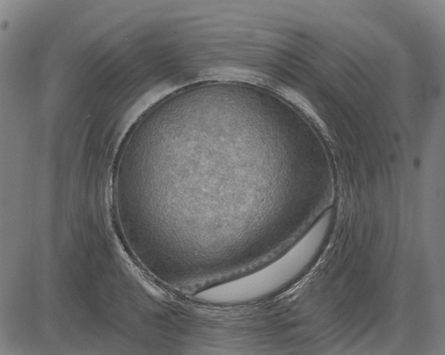 X0000084541040200703091648