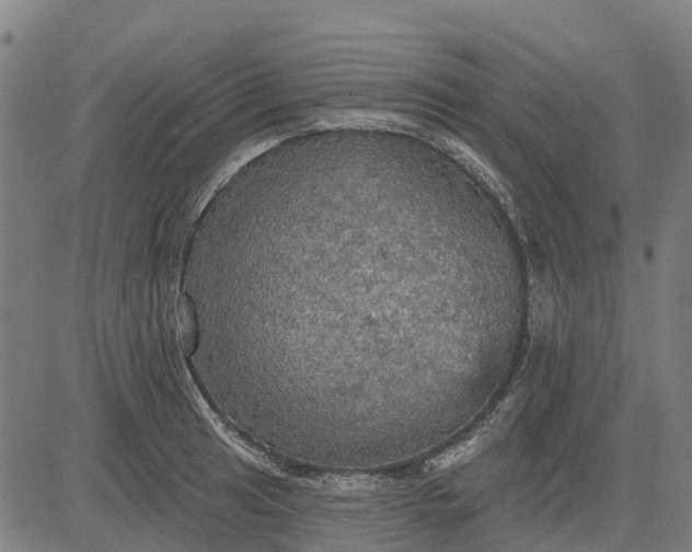 X0000084541041200703091648