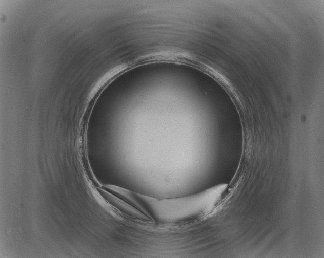 X0000084541042200703091648