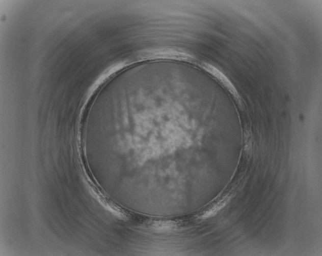 X0000084541043200703091648