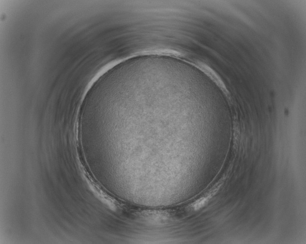 X0000084541044200703091648