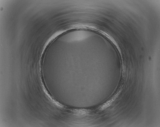 X0000084541045200703091649