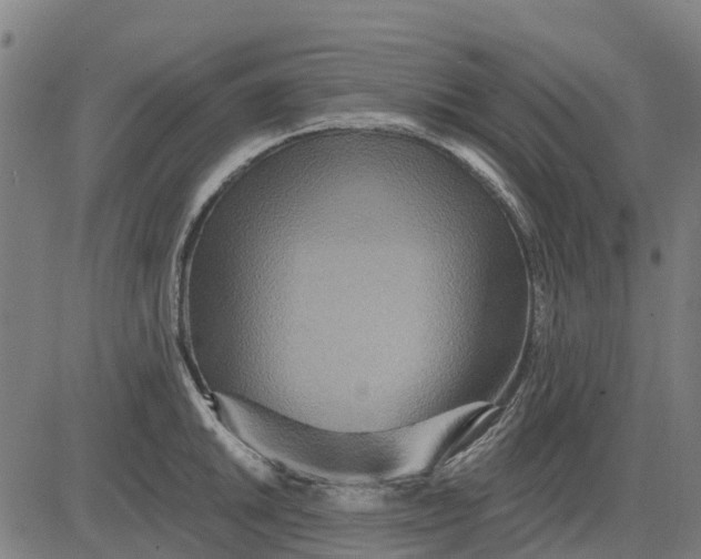 X0000084541046200703091649