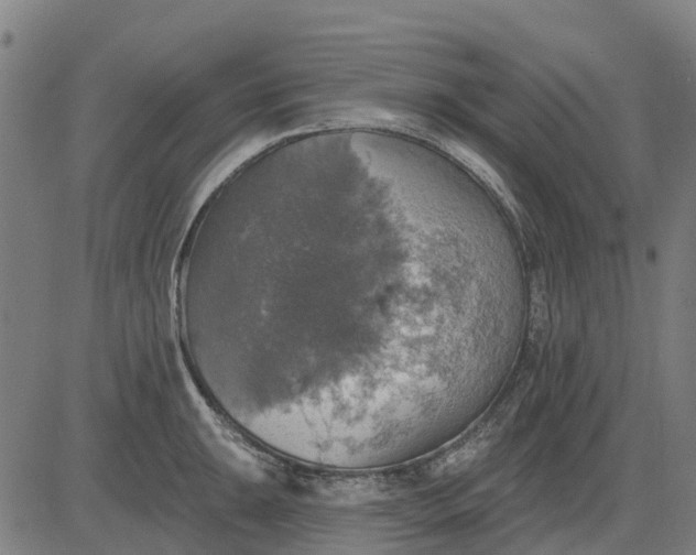 X0000084541047200703091649