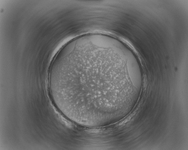 X0000084541048200703091649