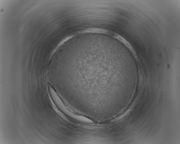 X0000084541049200703091649