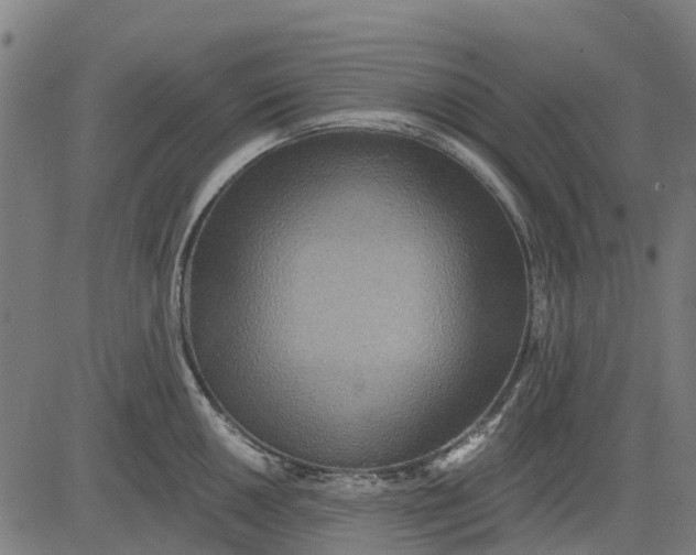 X0000084541050200703091649