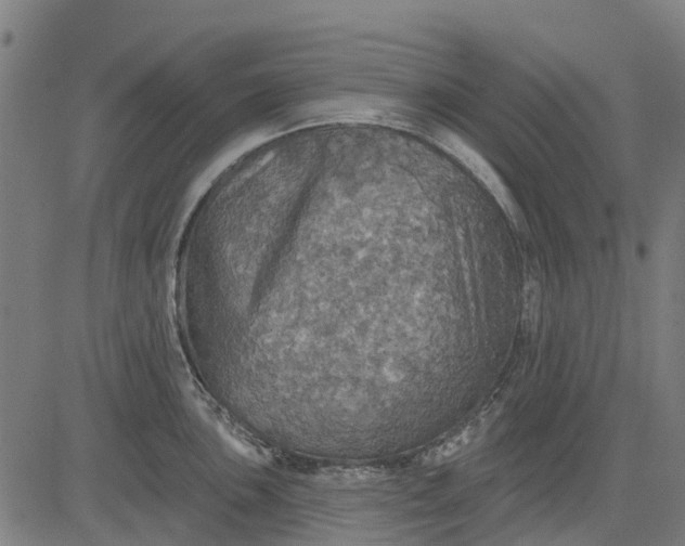 X0000084541051200703091649