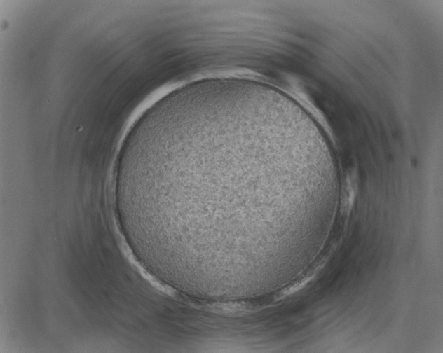 X0000084541053200703091649