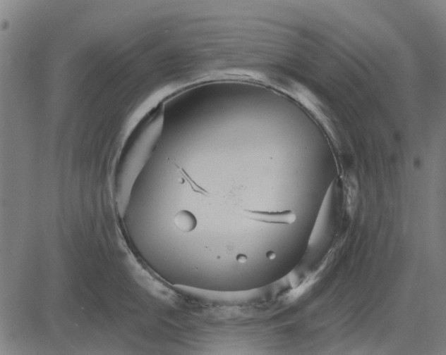 X0000084541054200703091649