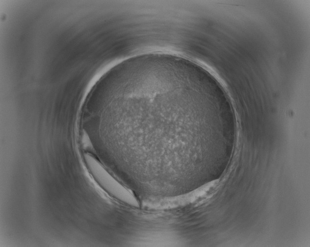 X0000084541056200703091649