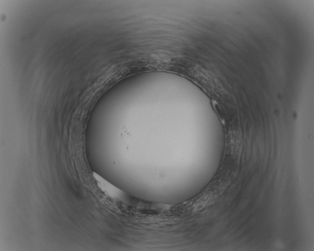 X0000084541057200703091648