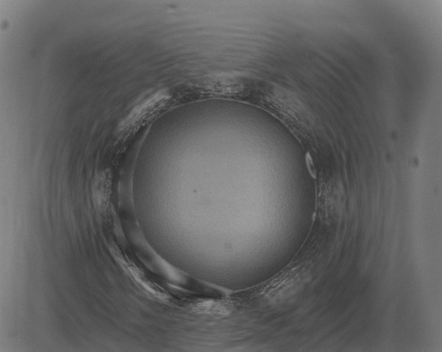 X0000084541058200703091648