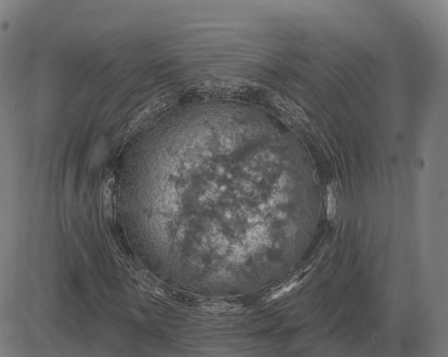 X0000084541059200703091648