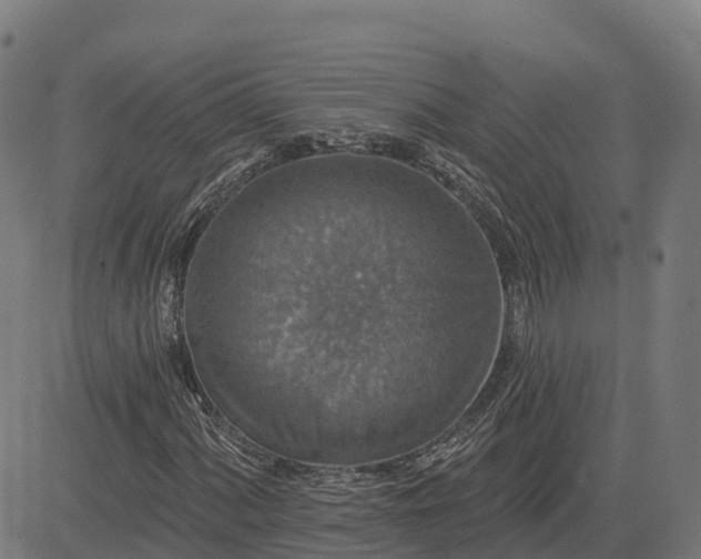 X0000084541060200703091648