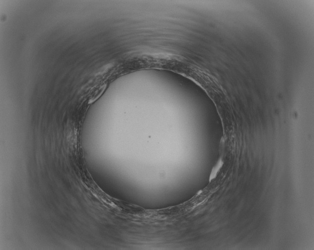 X0000084541061200703091648