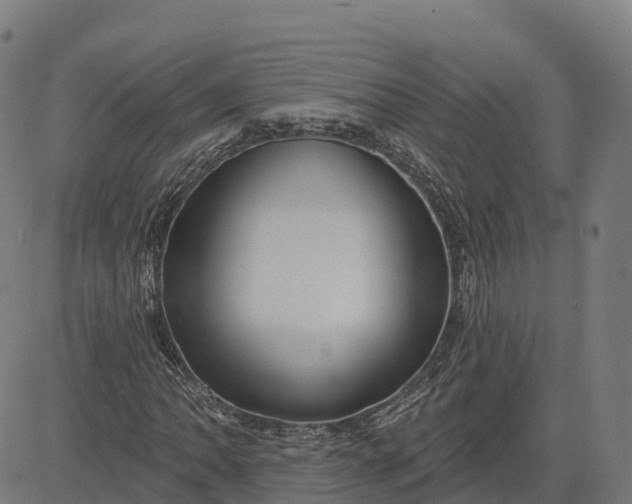 X0000084541062200703091648