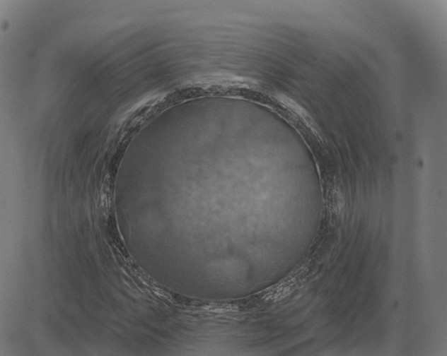 X0000084541063200703091648