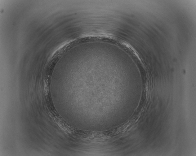 X0000084541064200703091648