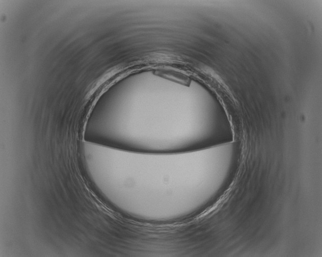 X0000084541065200703091648