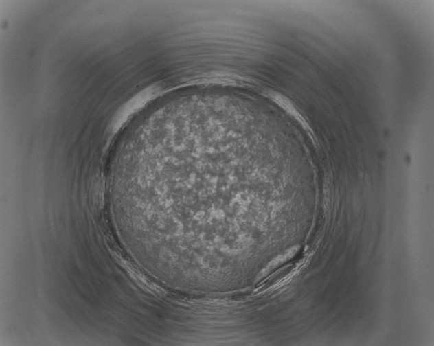 X0000084541067200703091648