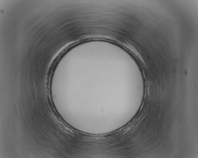 X0000084541068200703091648