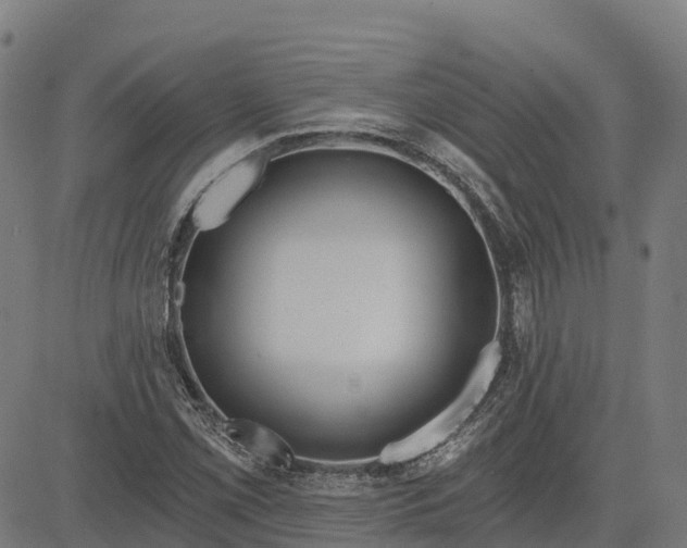 X0000084541069200703091648