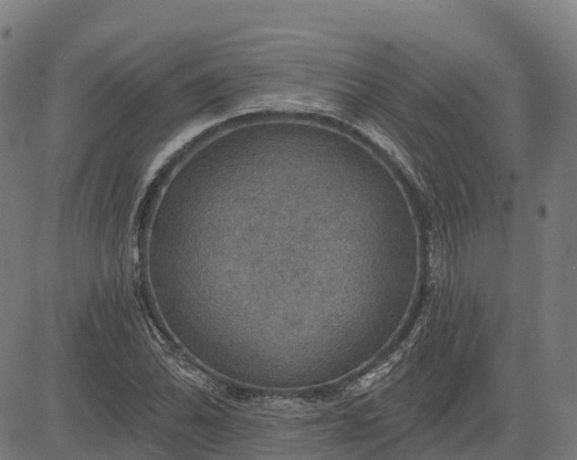 X0000084541070200703091648