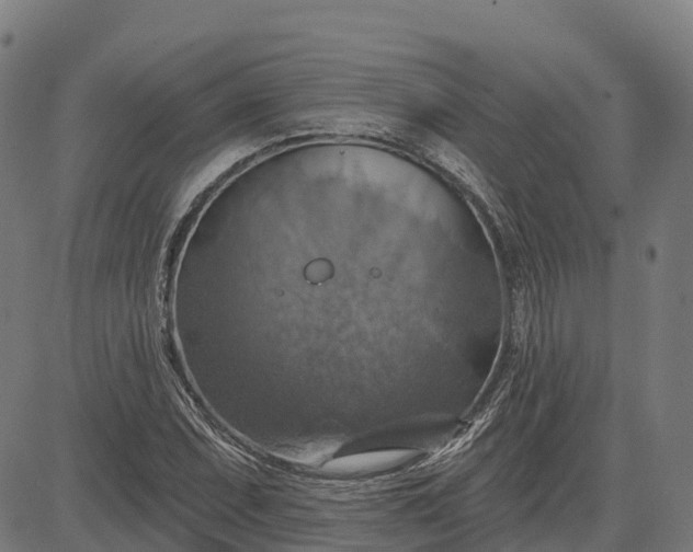 X0000084541071200703091648