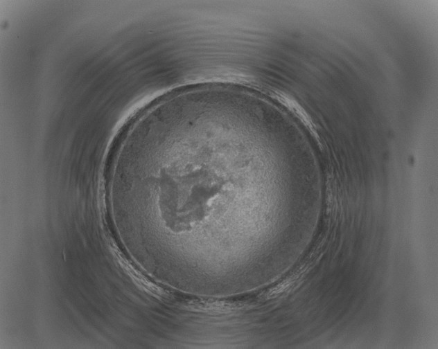 X0000084541072200703091648